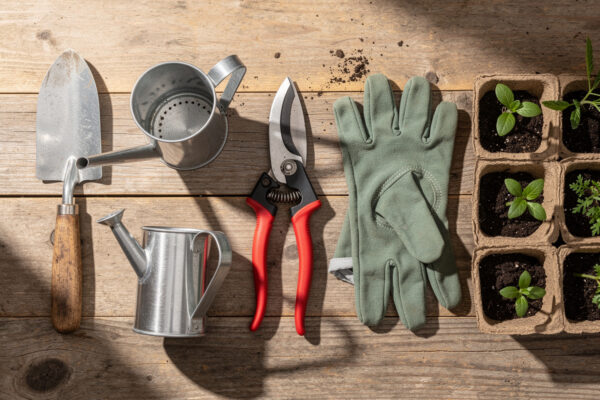 Best Tools to Grow a Small Urban Garden Under $75