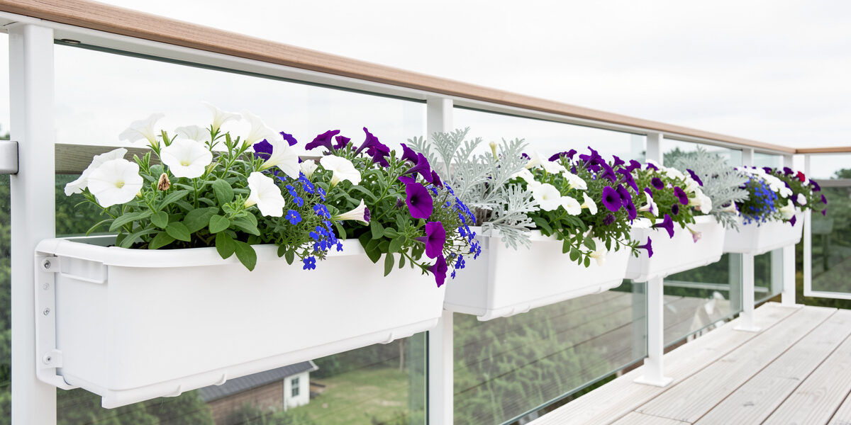 White flower boxes on a deck railing planted with white and purple petunias, blue lobelia and dusty miller