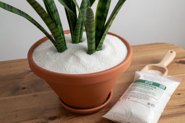 Sand on Soil for Gnats: Barrier Method Guide