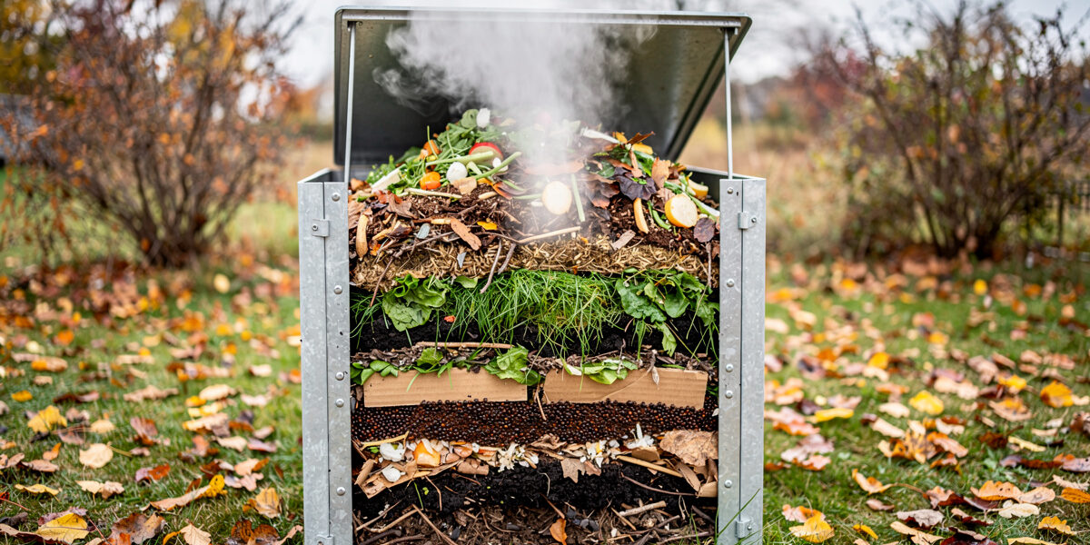 Best Compost for Vegetable Garden: Complete Guide