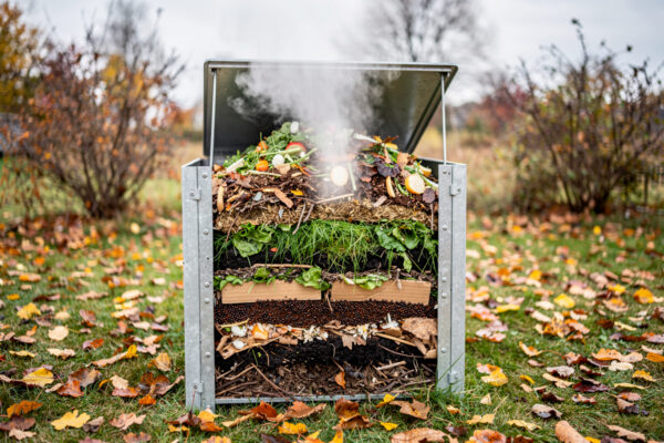 Best Compost for Vegetable Garden: Complete Guide