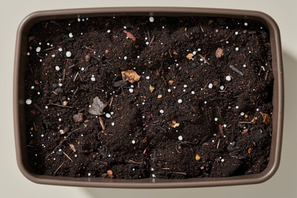 Best Potting Soil for Vegetables: Complete Guide