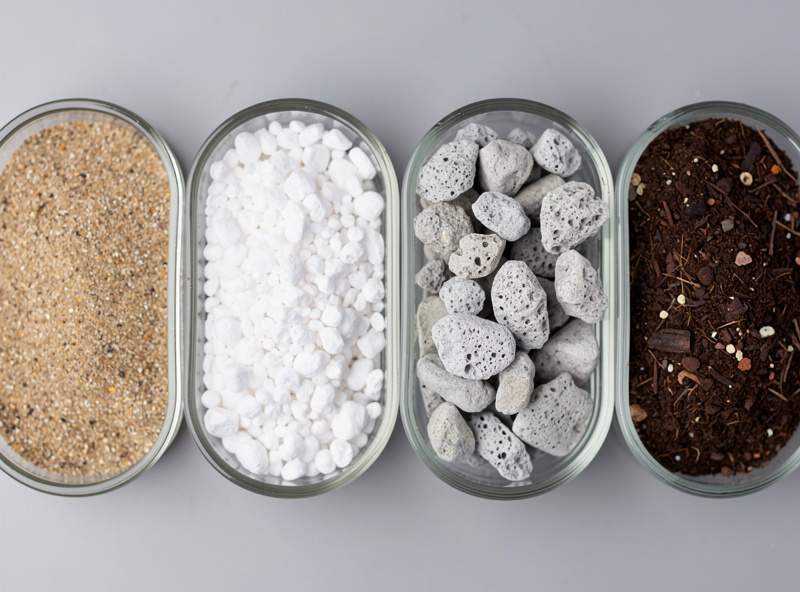 Succulent soil ingredients showing coarse sand, perlite, pumice