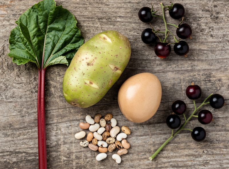 Toxic-to-chickens plants and items including raw potato, avocado pit, dried beans and rhubarb leaf
