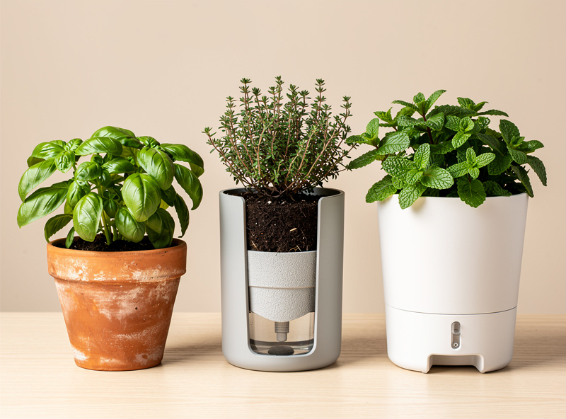 Side-by-side comparison of a regular terracotta planter, a 3D-printed self-watering planter, and a commercial plastic self-watering planter