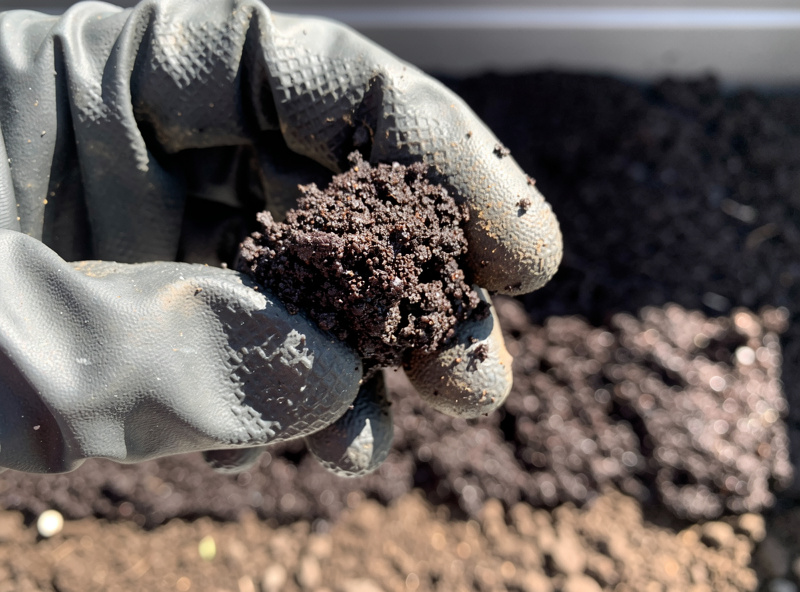 Close-up photograph of dark crumbly fresh worm castings being held in a gloved hand showing the fine texture and rich color compared to ordinary garden soil.