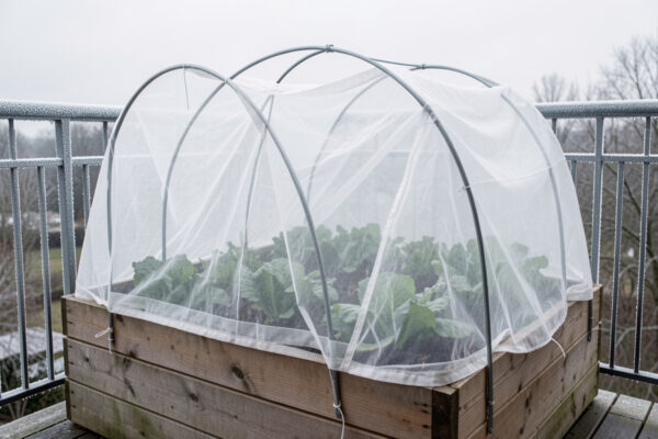 Row Covers and Cloches: Cheap Frost Insurance