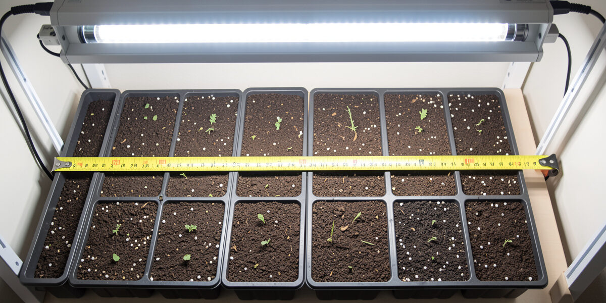 Watts Per Square Foot for Grow Lights: The Number That Matters