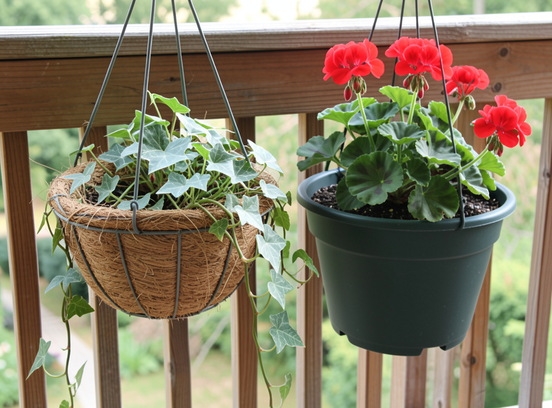 Two hanging baskets on a balcony rail comparing a coir-lined wire basket and a solid plastic reservoir basket with trailing plants