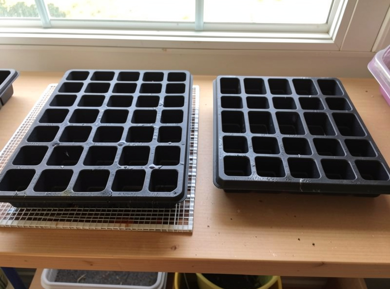 Two cell seed trays side by side, one on a heat mat and one on the bare shelf, faint condensation on the warm tray