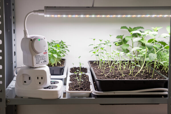 The Grow Light Timer Setup I Use to Cut Run-Cost in Half